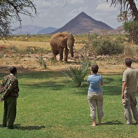 Hotel Ashnil Samburu Camp Extérieur photo