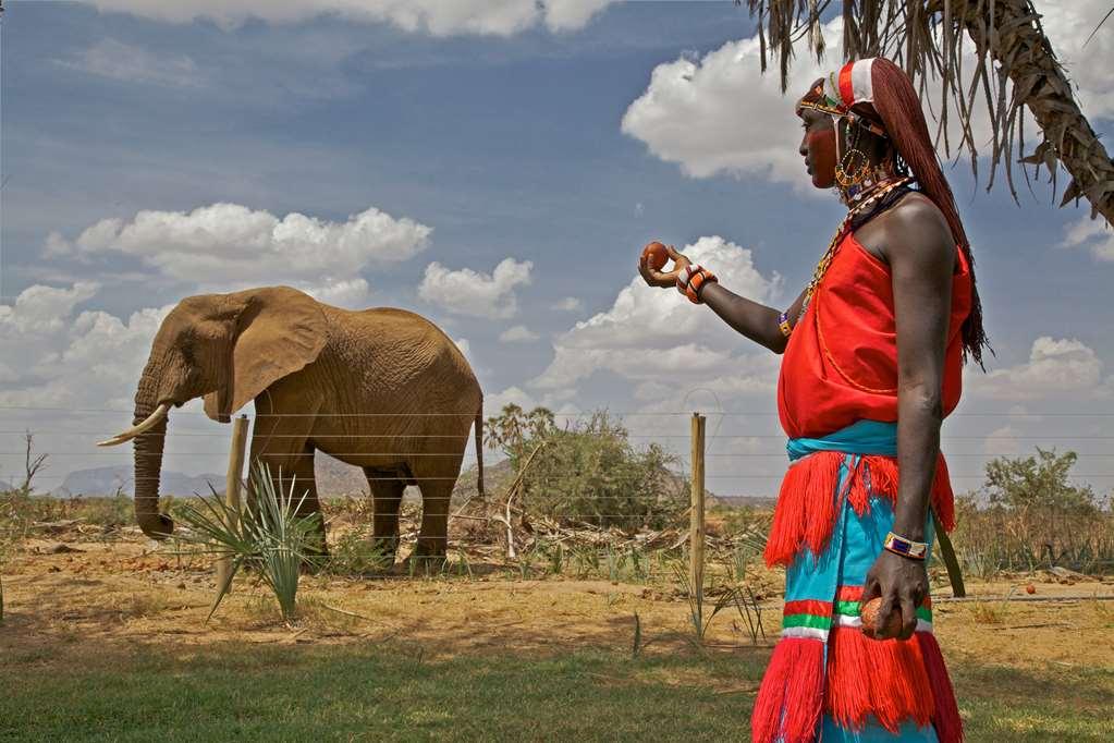 Hotel Ashnil Samburu Camp Facilités photo