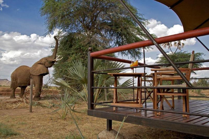 Hotel Ashnil Samburu Camp Extérieur photo