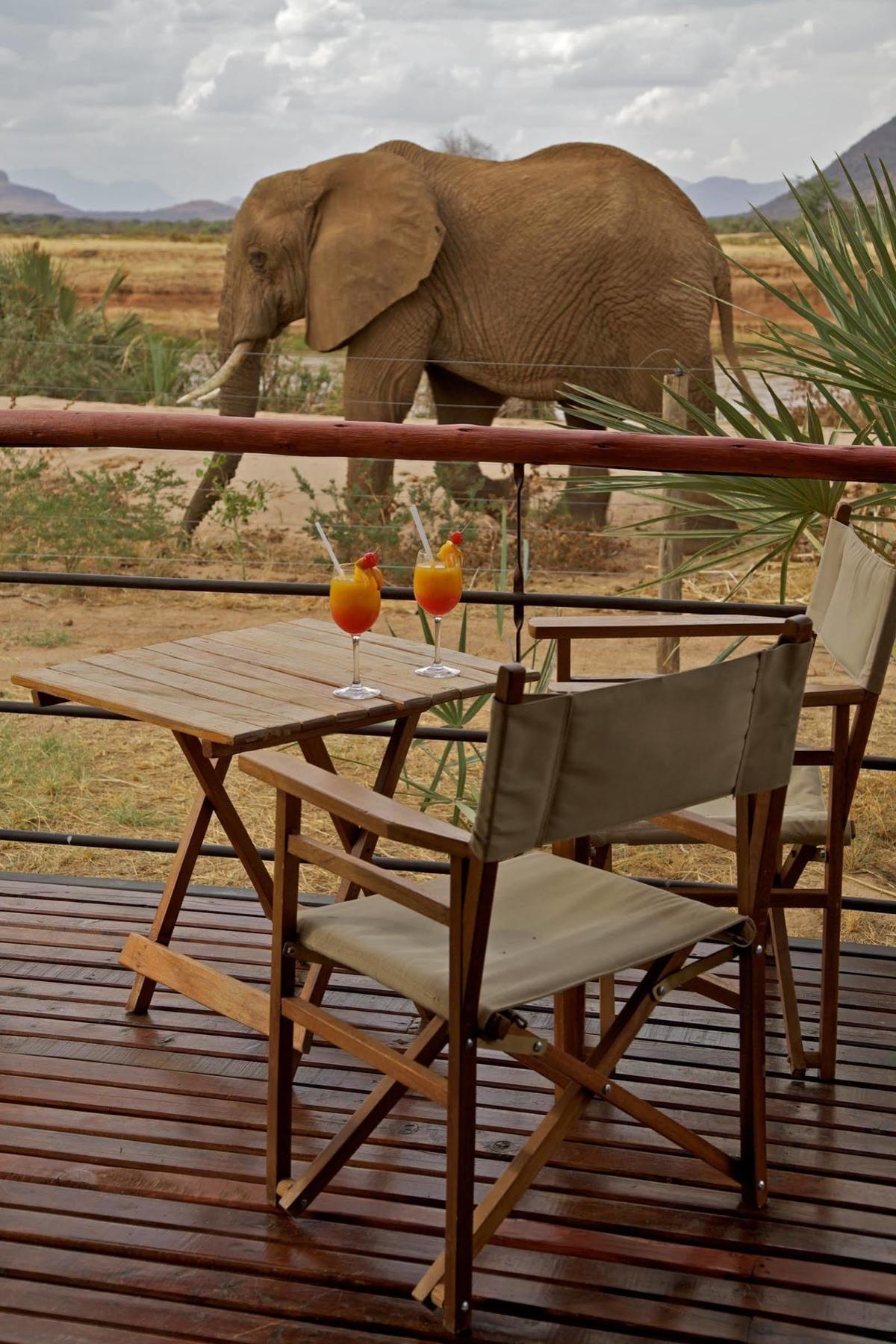 Hotel Ashnil Samburu Camp Extérieur photo