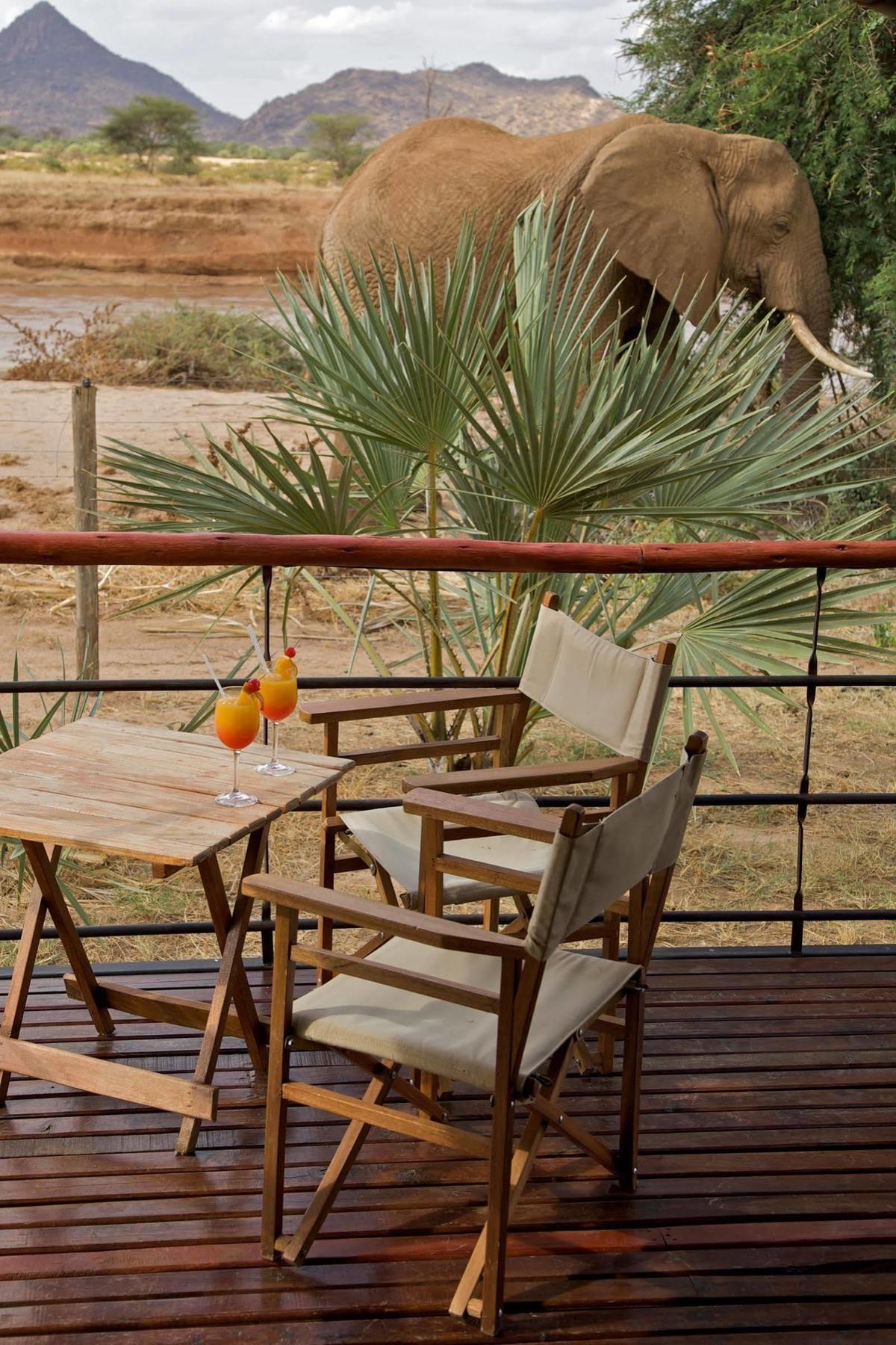 Hotel Ashnil Samburu Camp Extérieur photo